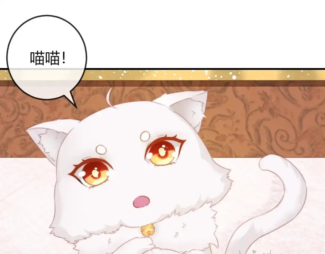 报告王爷，王妃是只猫 第16话 做个实验！ 第49页