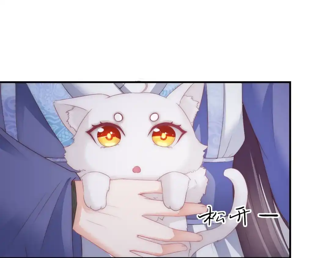 报告王爷，王妃是只猫 第16话 做个实验！ 第79页