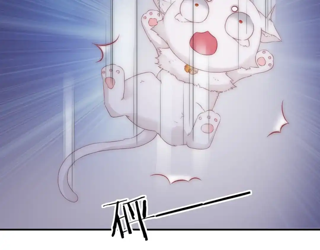 报告王爷，王妃是只猫 第16话 做个实验！ 第81页
