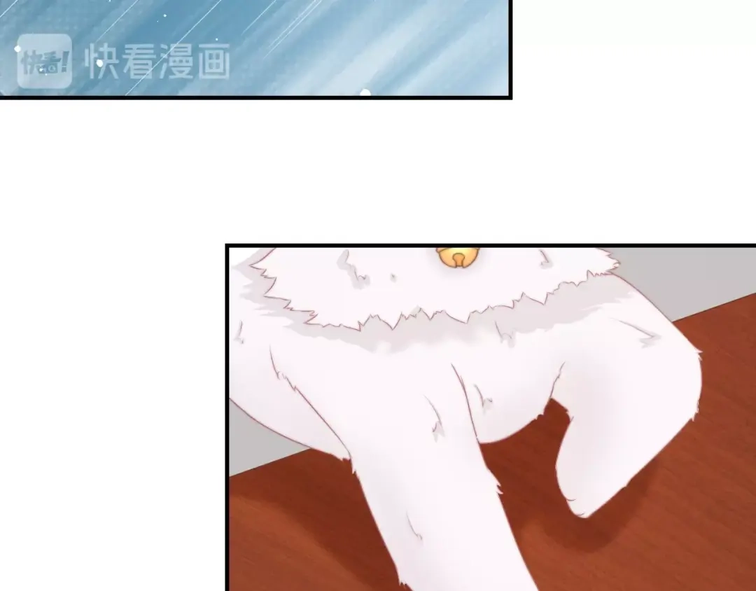 报告王爷，王妃是只猫 第16话 做个实验！ 第53页
