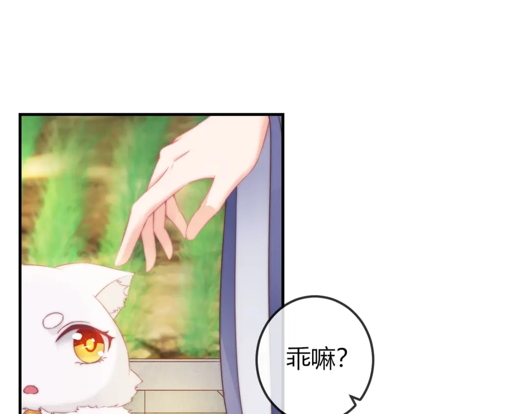报告王爷，王妃是只猫 第17话 我的血竟有这种能力？ 第35页