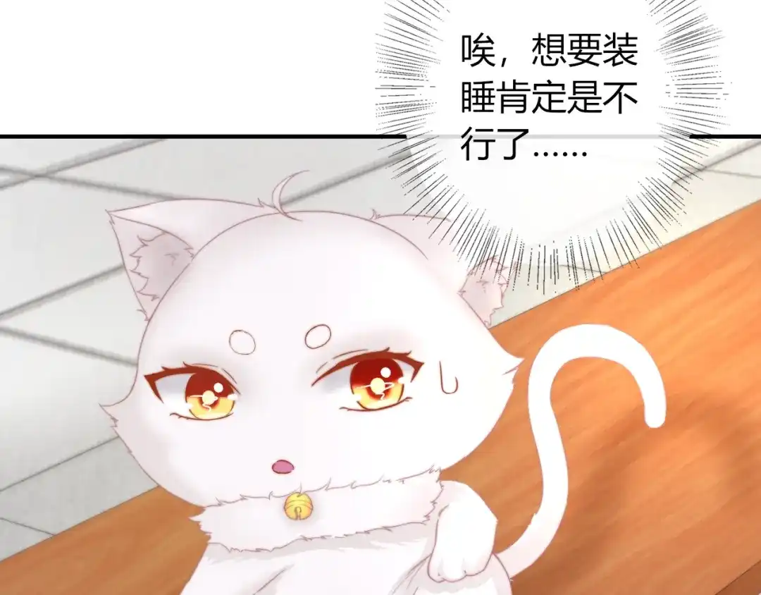 报告王爷，王妃是只猫 第17话 我的血竟有这种能力？ 第32页