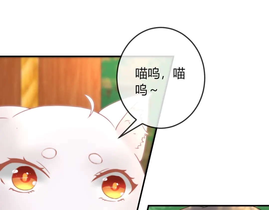 报告王爷，王妃是只猫 第17话 我的血竟有这种能力？ 第8页