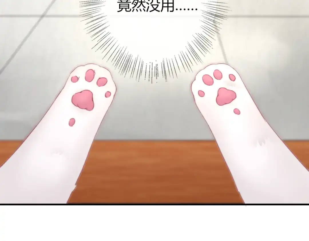报告王爷，王妃是只猫 第17话 我的血竟有这种能力？ 第7页