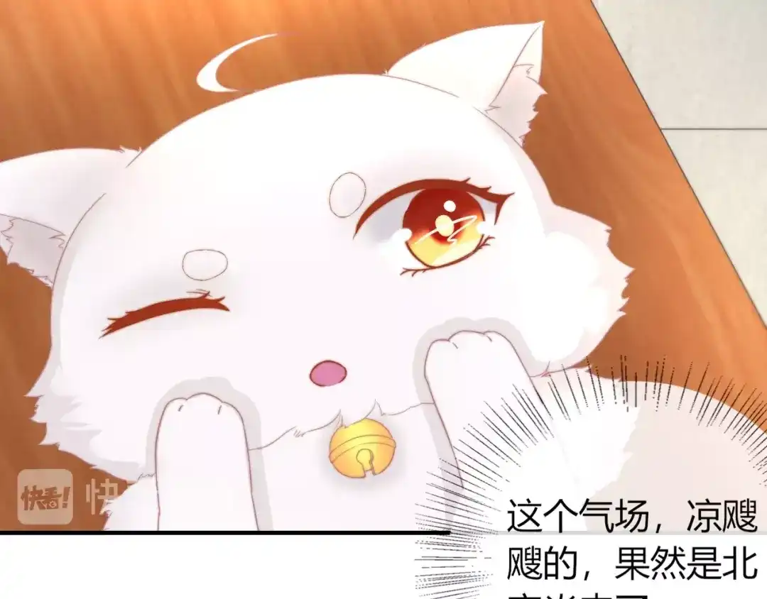 报告王爷，王妃是只猫 第17话 我的血竟有这种能力？ 第29页
