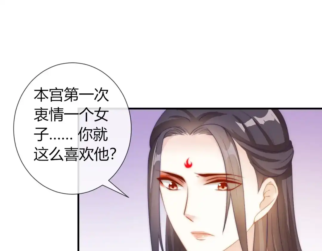 报告王爷，王妃是只猫 第26话 大婚之日！ 第43页