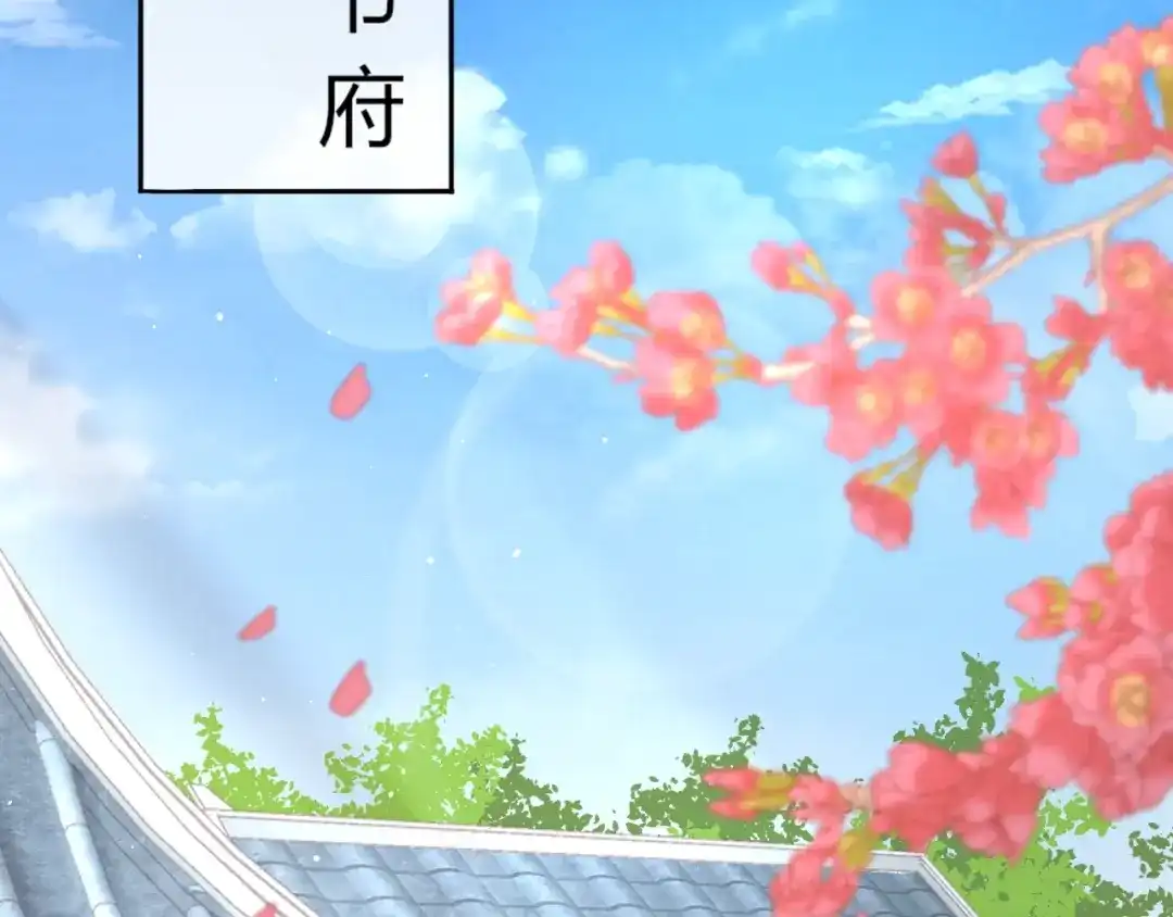 报告王爷，王妃是只猫 第4话 这个女人很美！ 第6页
