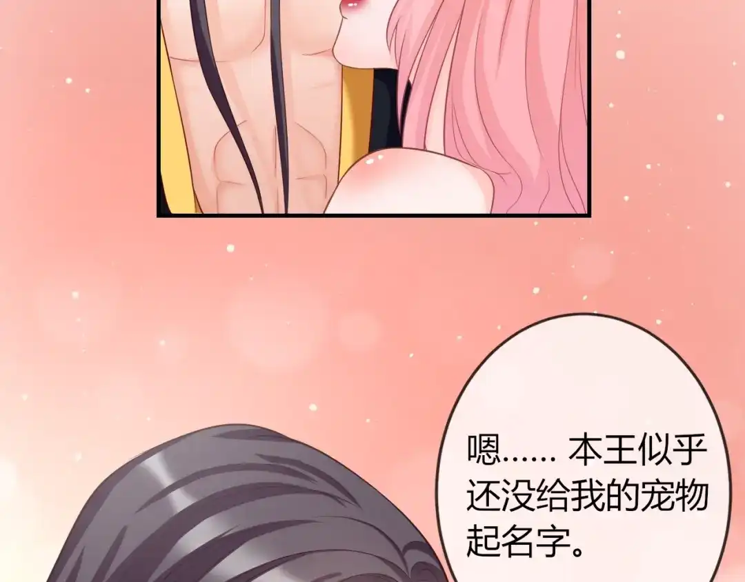报告王爷，王妃是只猫 第4话 这个女人很美！ 第12页