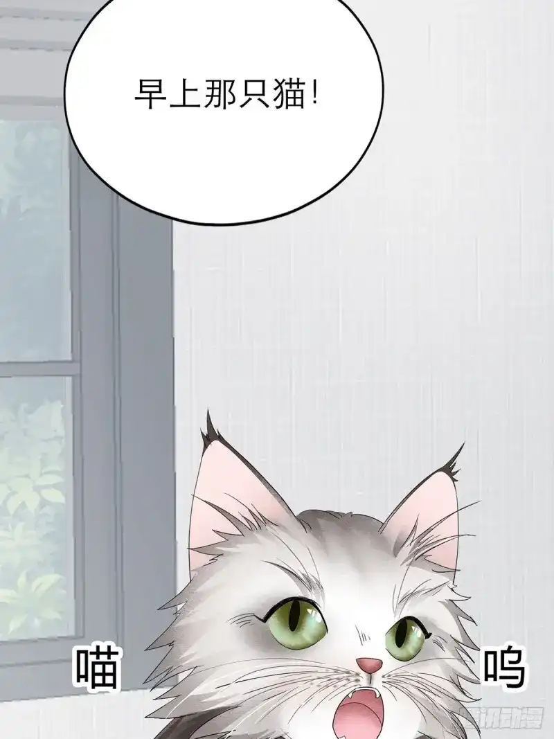 《暴君爱人》第24话 投喂失败 第27页