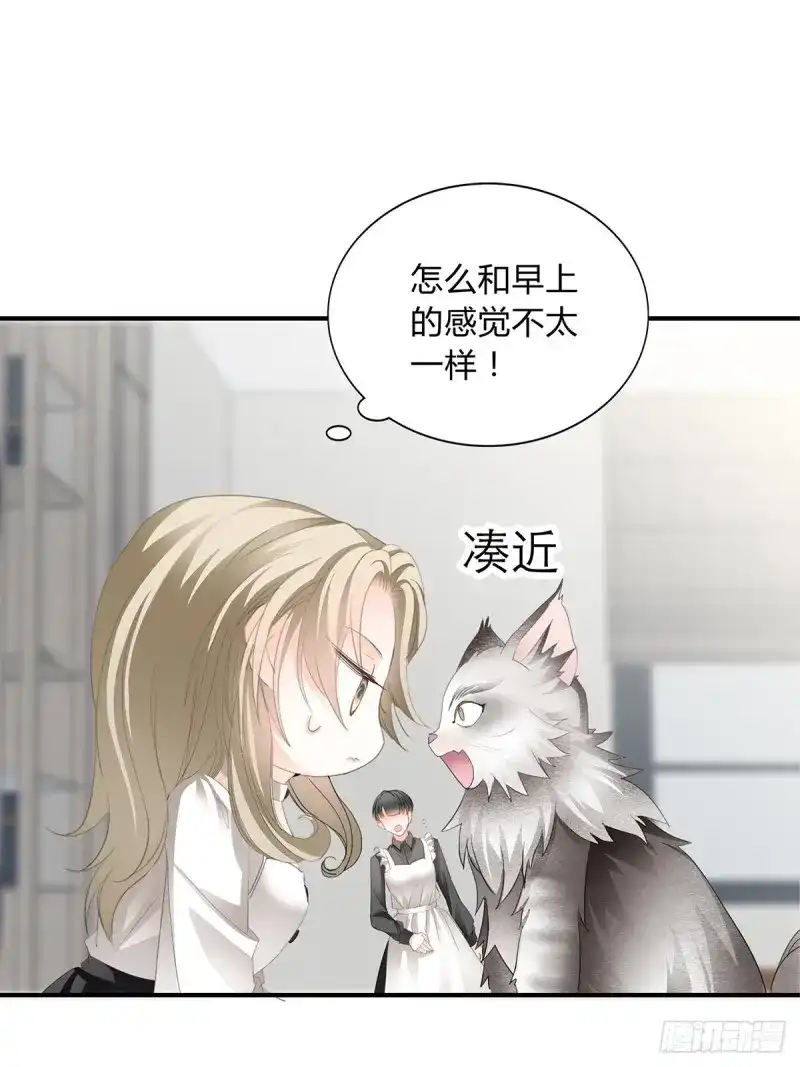 《暴君爱人》第24话 投喂失败 第29页