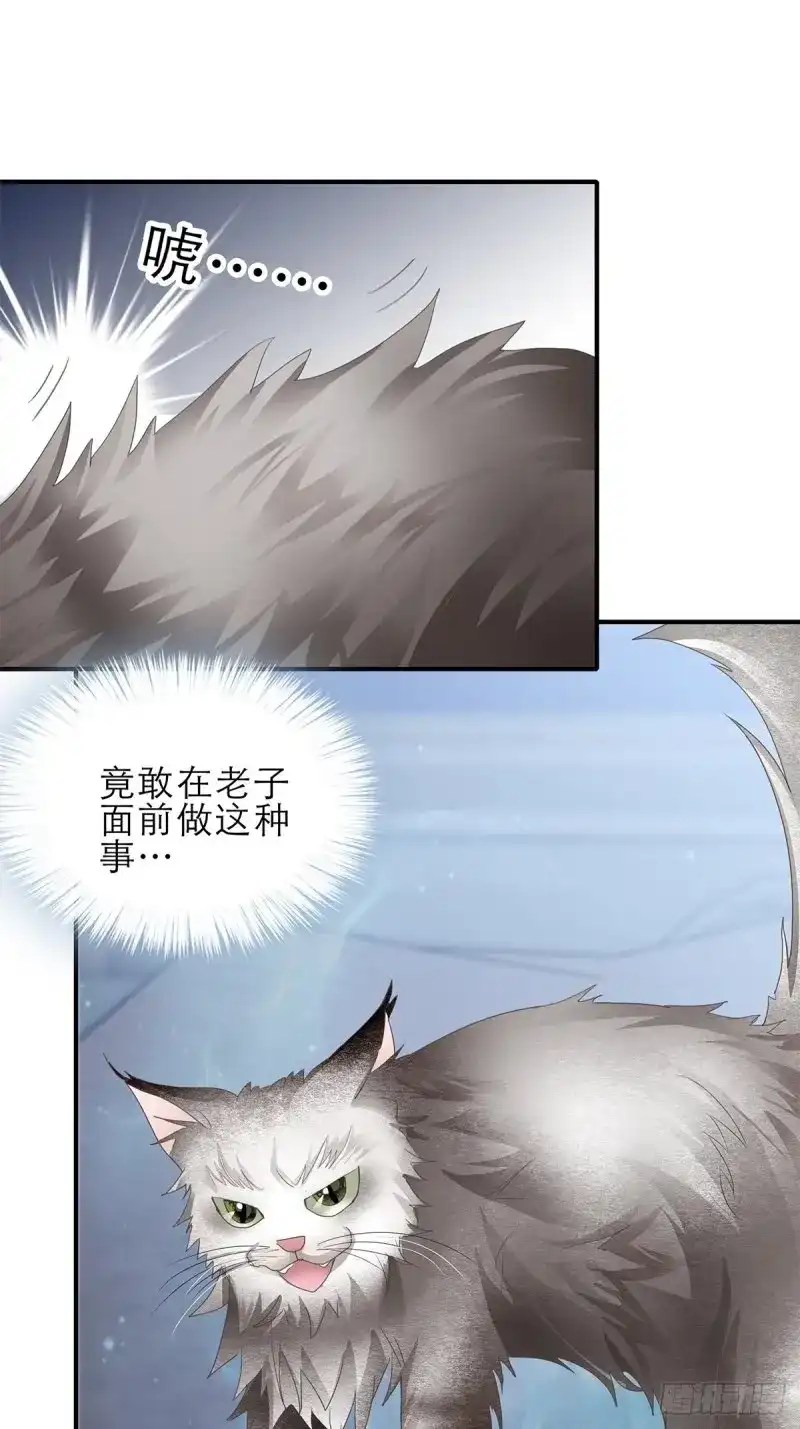 《暴君爱人》第37话 一起睡吧 第3页