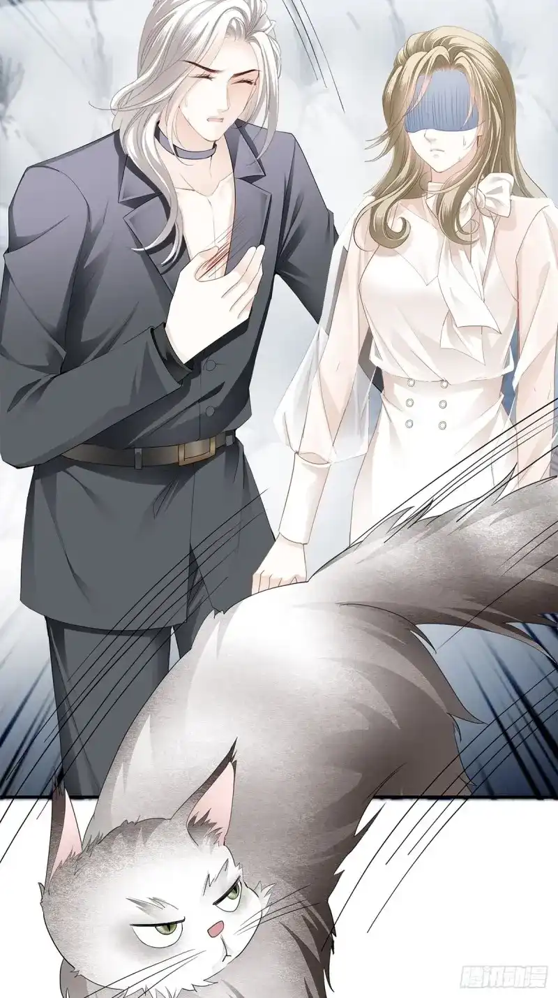 《暴君爱人》第38话 九爷受伤了 第11页