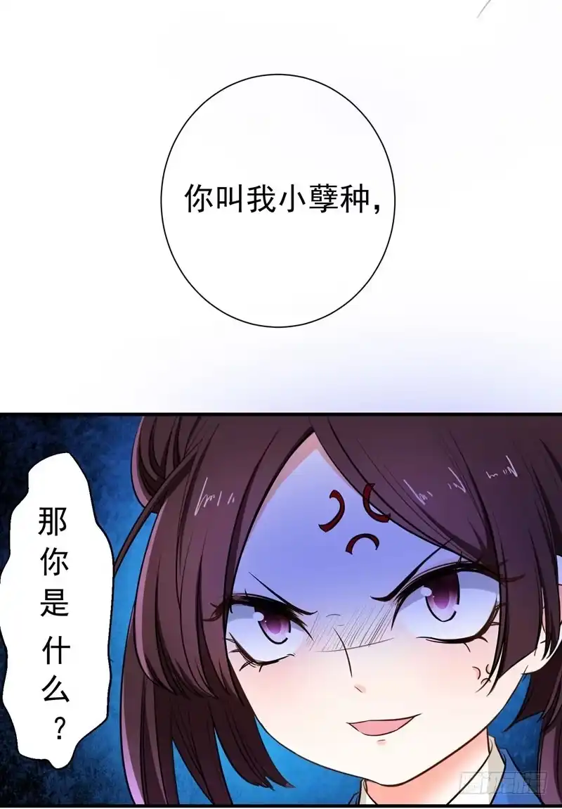 《暴力俏丫头》3 你是老孽种？ 第35页