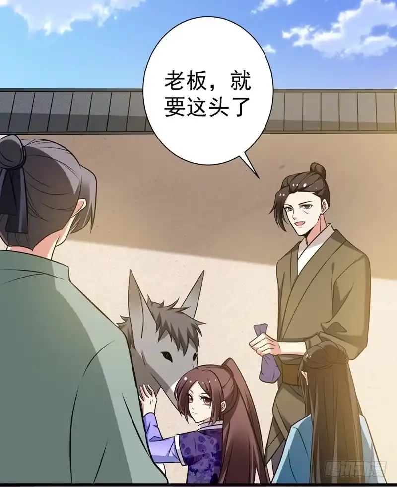 《暴力俏丫头》45 骑着毛驴去上学 第12页