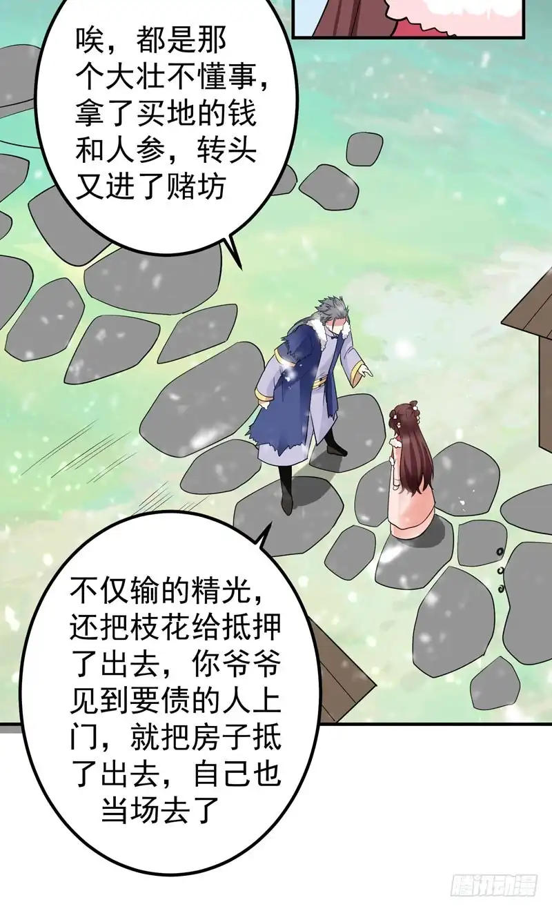 《暴力俏丫头》63 家破人亡的柳家 第10页