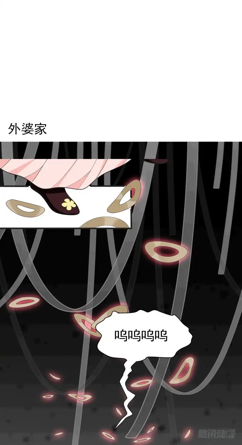 《暴力俏丫头》63 家破人亡的柳家 第14页