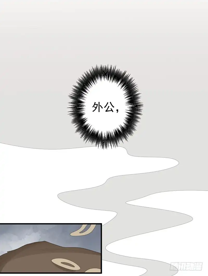 《暴力俏丫头》63 家破人亡的柳家 第29页