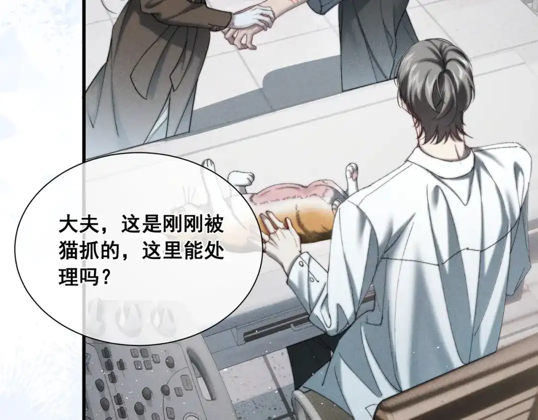 《暴雨症》009 叶真的猫咪诱捕计划 第93页
