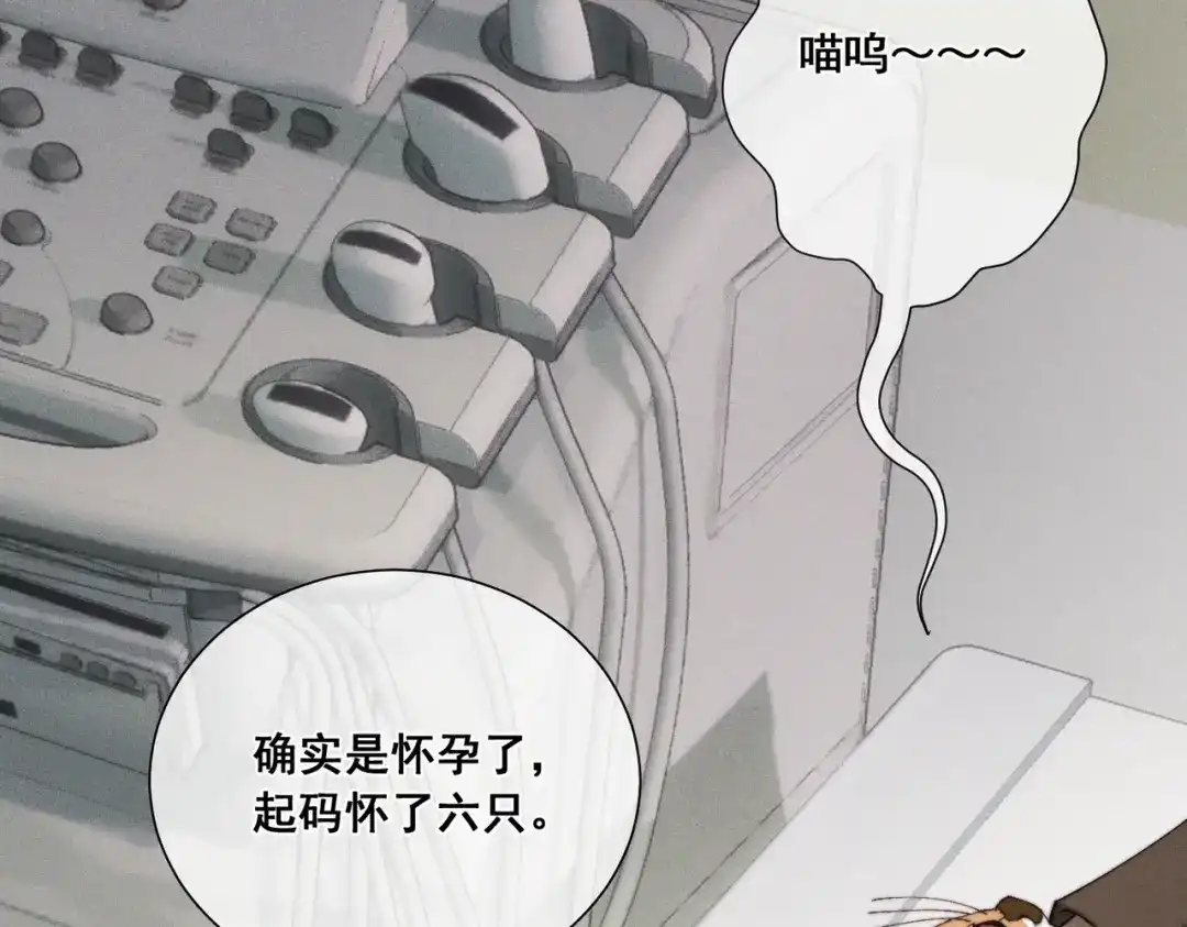 《暴雨症》009 叶真的猫咪诱捕计划 第87页