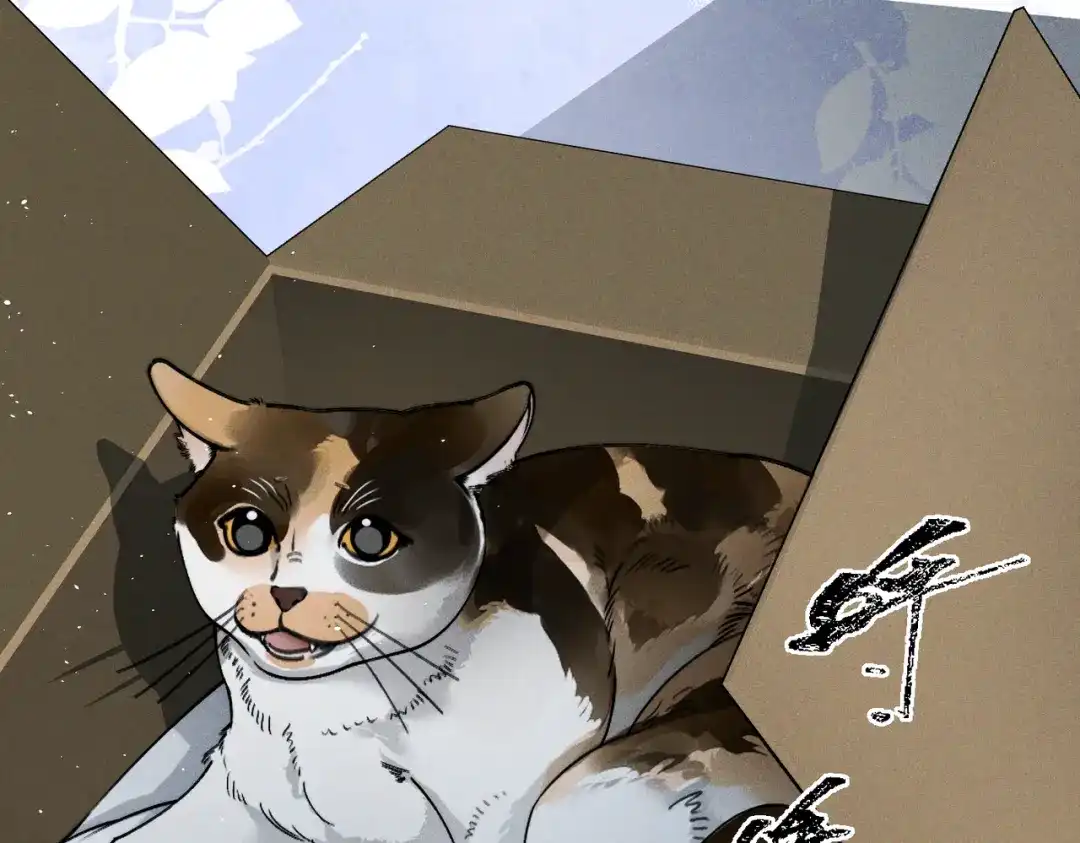 《暴雨症》009 叶真的猫咪诱捕计划 第19页