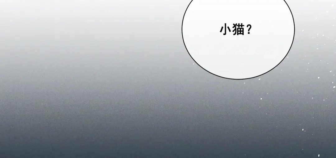 《暴雨症》009 叶真的猫咪诱捕计划 第23页