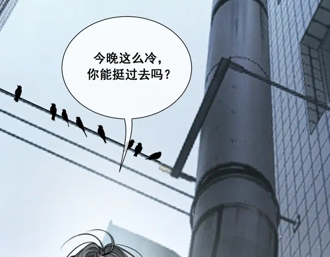 《暴雨症》009 叶真的猫咪诱捕计划 第44页