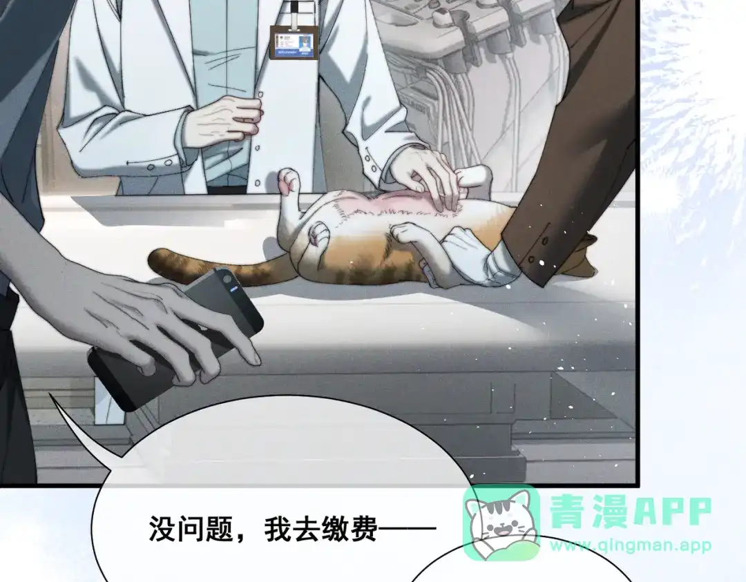 《暴雨症》009 叶真的猫咪诱捕计划 第91页