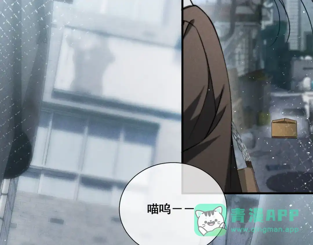 《暴雨症》009 叶真的猫咪诱捕计划 第11页