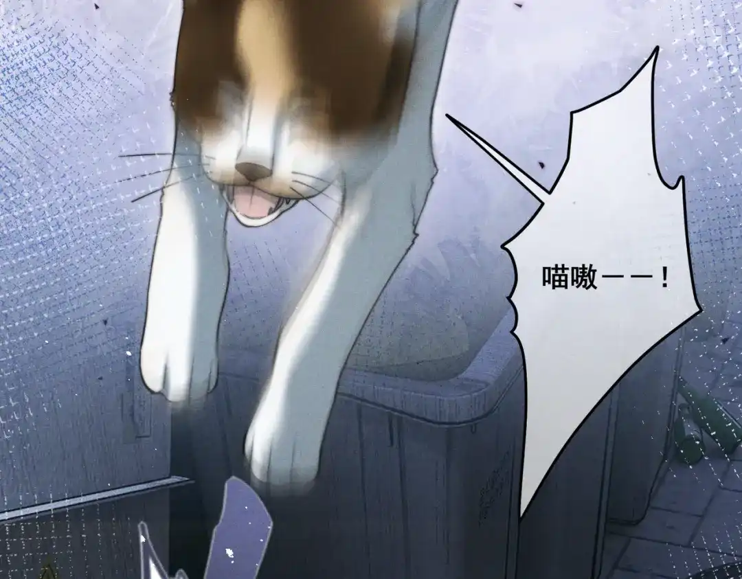 《暴雨症》009 叶真的猫咪诱捕计划 第68页