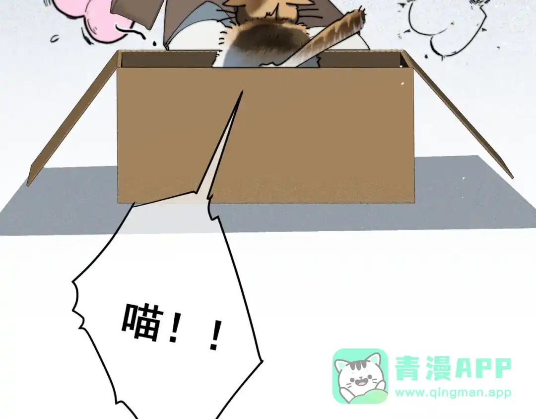 《暴雨症》009 叶真的猫咪诱捕计划 第26页