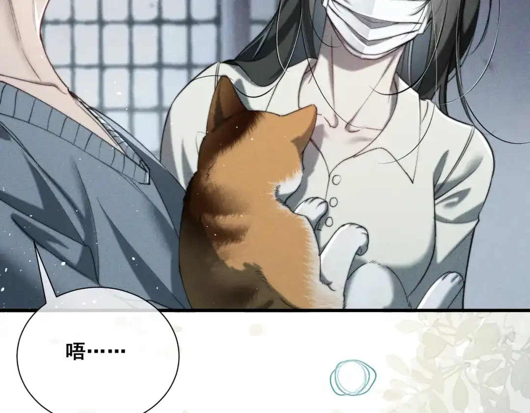 《暴雨症》009 叶真的猫咪诱捕计划 第77页