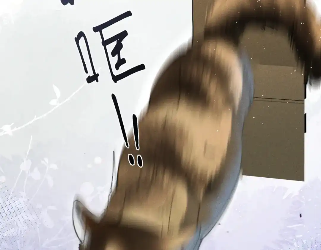 《暴雨症》009 叶真的猫咪诱捕计划 第67页