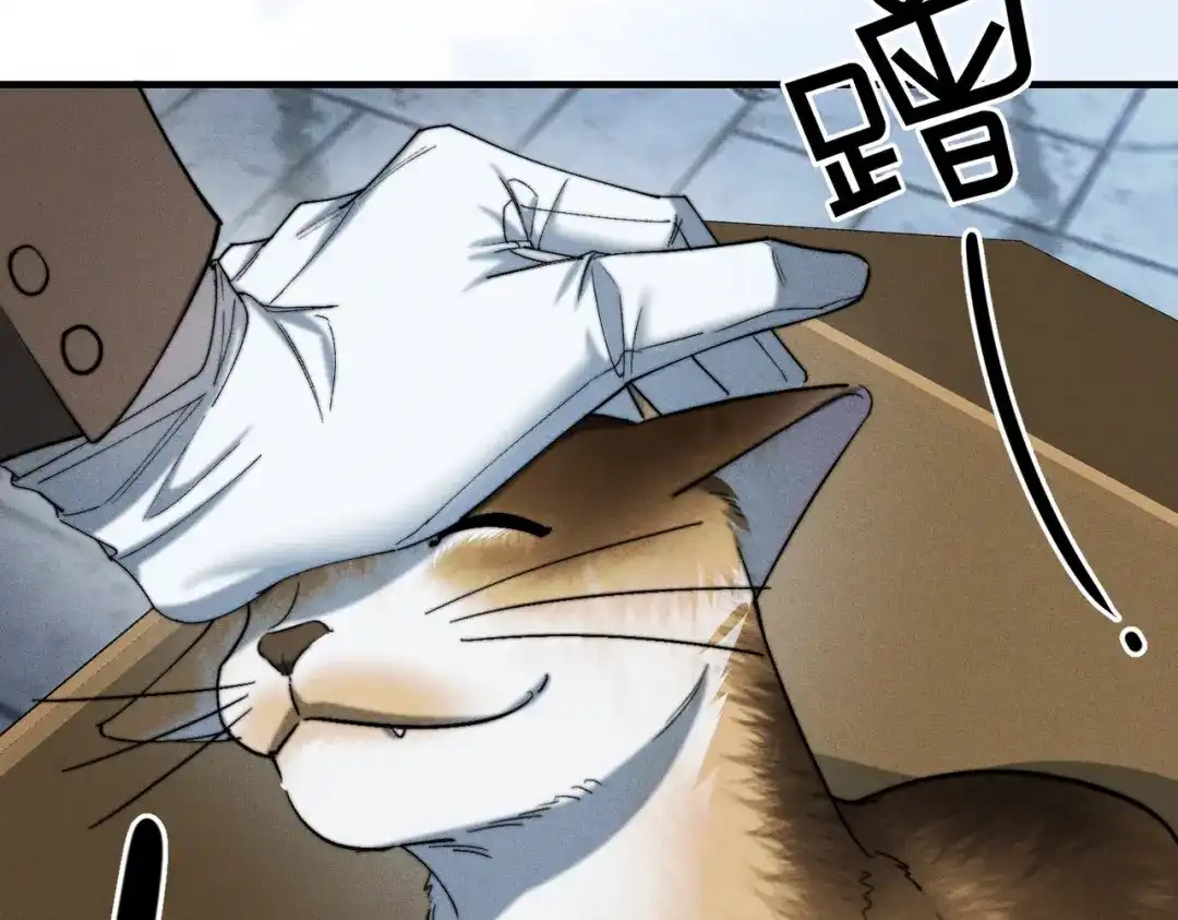 《暴雨症》009 叶真的猫咪诱捕计划 第33页