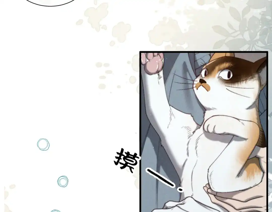 《暴雨症》009 叶真的猫咪诱捕计划 第78页