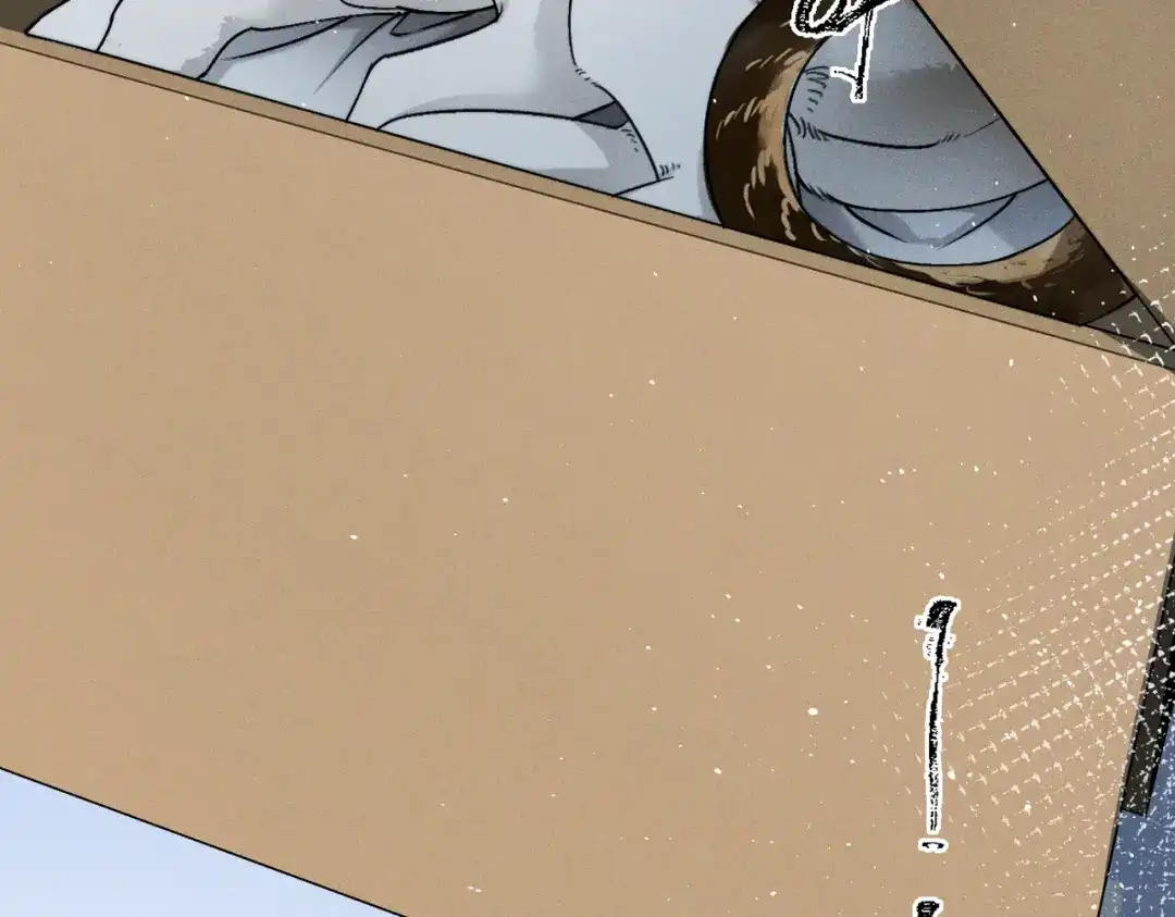 《暴雨症》009 叶真的猫咪诱捕计划 第20页