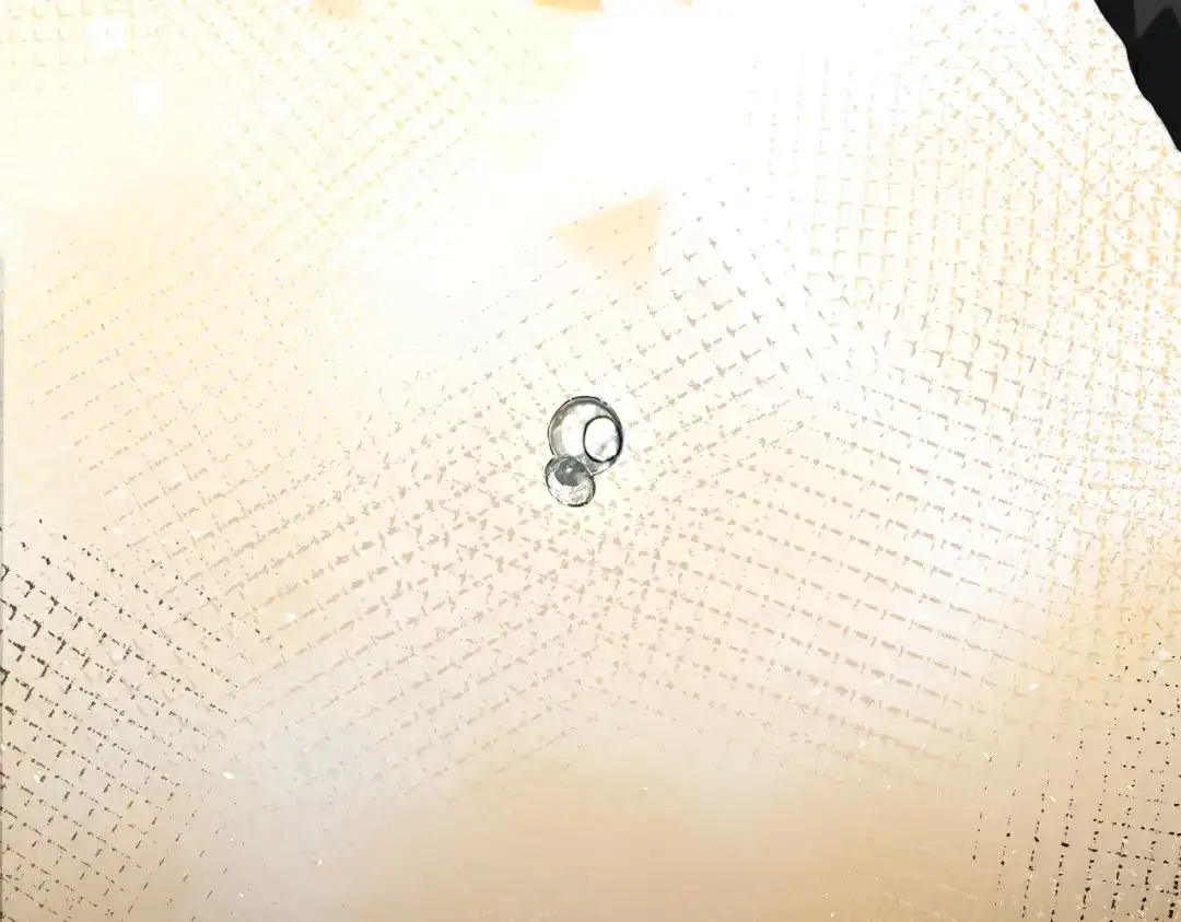 《暴雨症》015 抓住手边的快乐 第81页