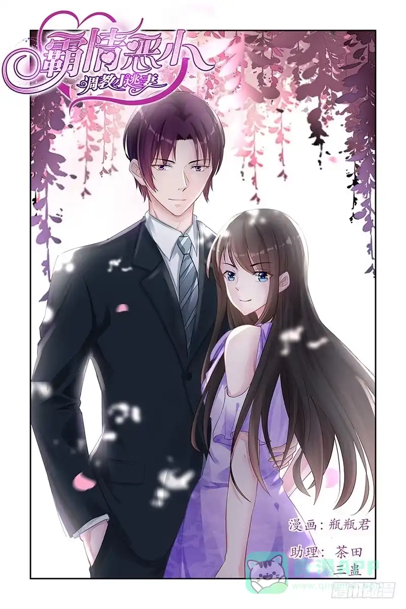 《霸情恶少：调教小逃妻》天才小少爷 第1页
