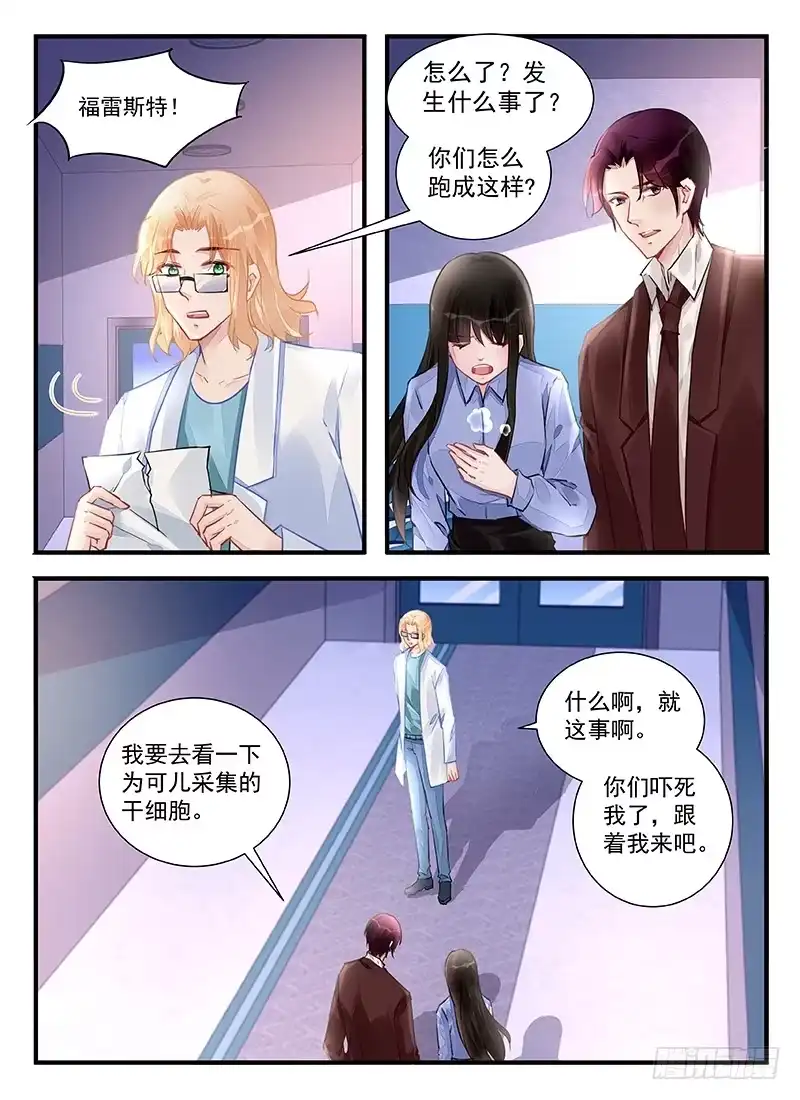 《霸情恶少：调教小逃妻》骨髓源被盗 第5页