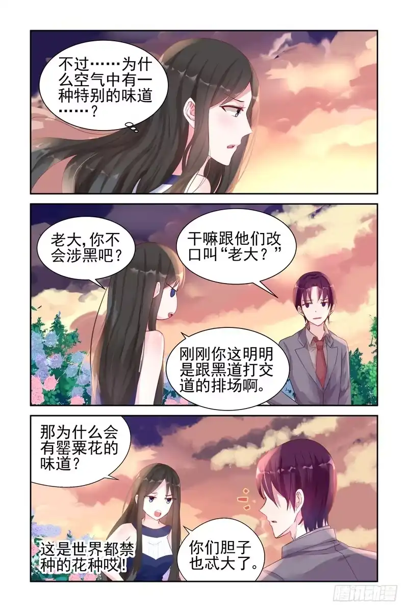 《霸情恶少：调教小逃妻》花海 第3页