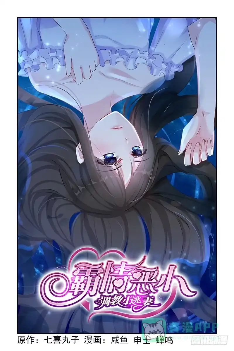 《霸情恶少：调教小逃妻》南宫寒的女人 第1页
