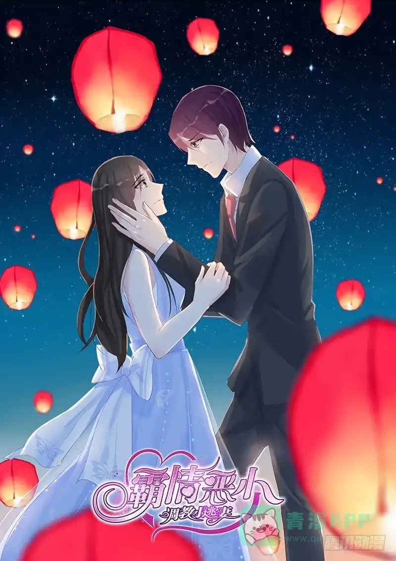 《霸情恶少：调教小逃妻》结婚登记？ 第1页