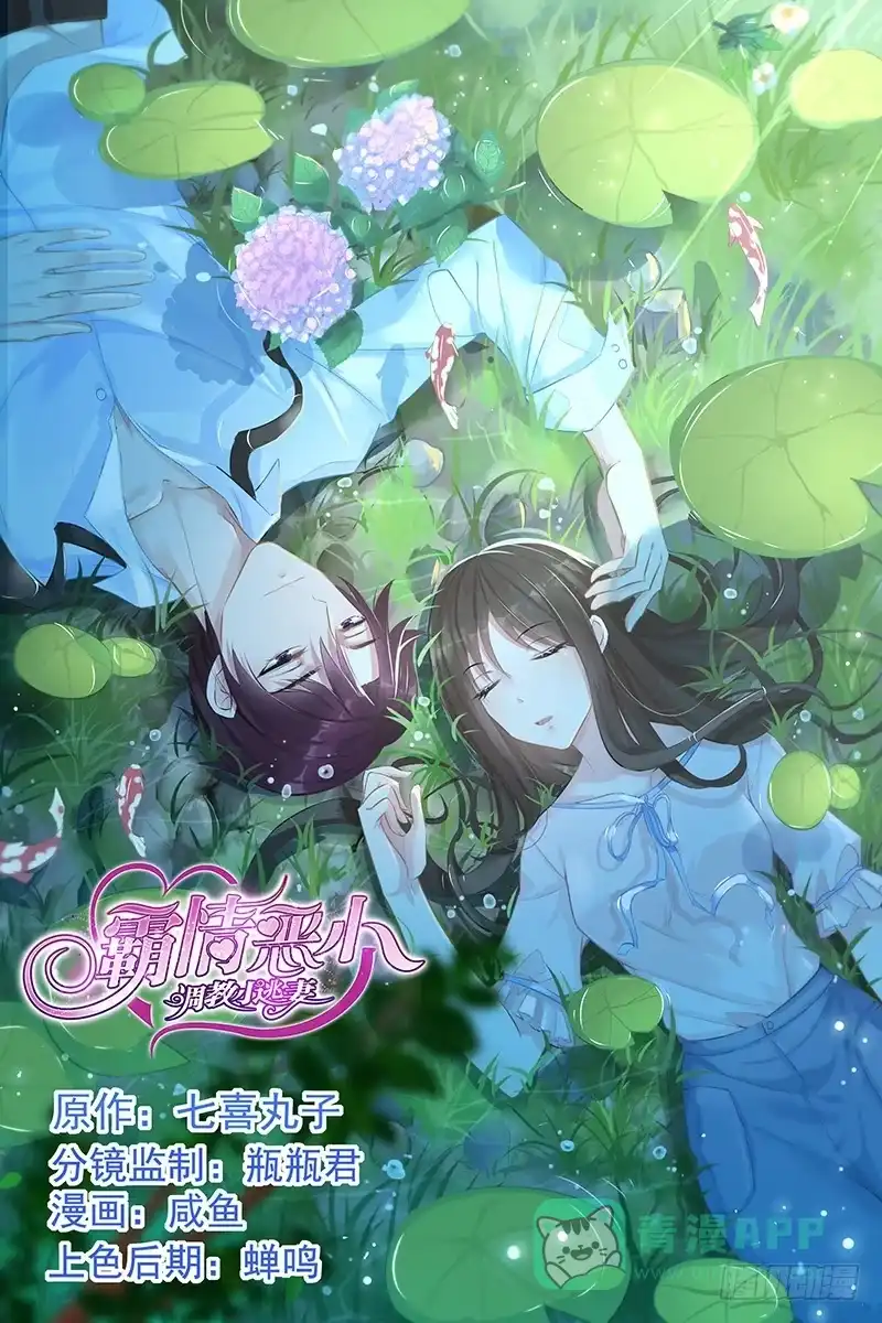 《霸情恶少：调教小逃妻》藏宝图？ 第1页