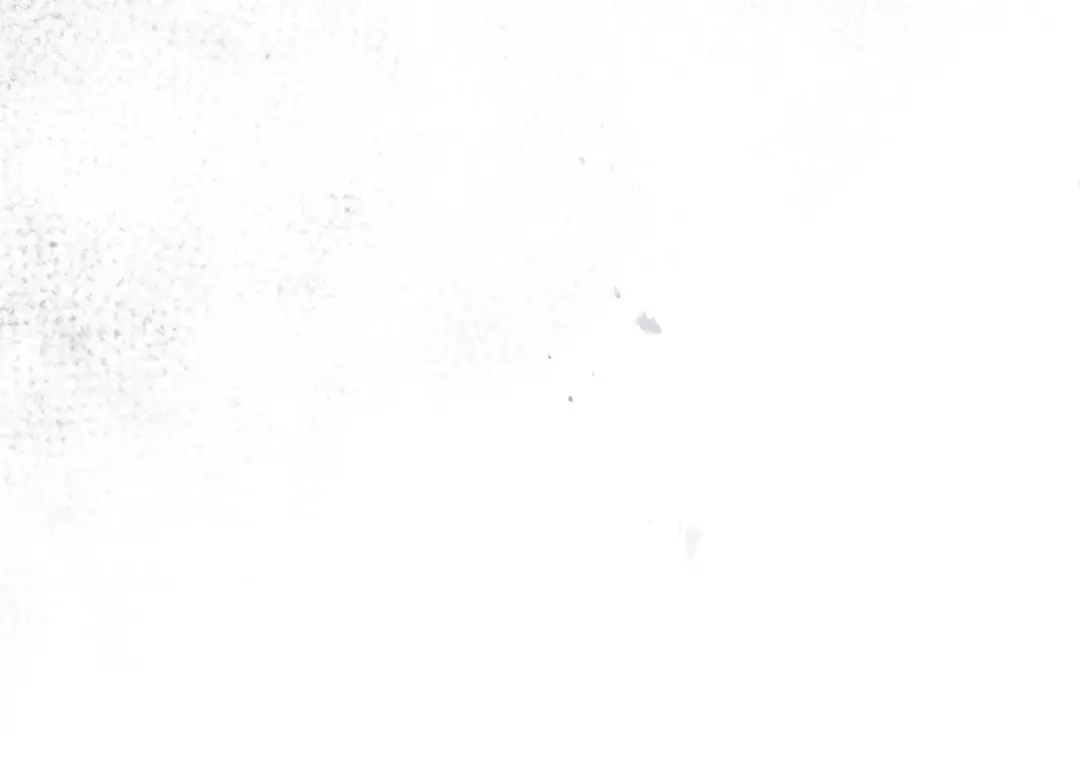209.jpg