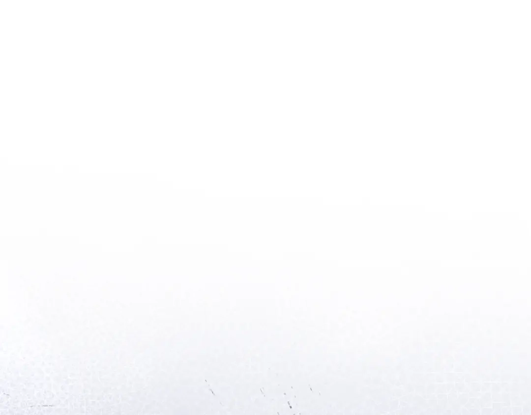 242.jpg