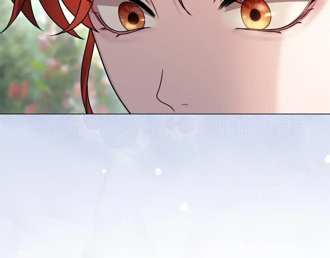 203.jpg