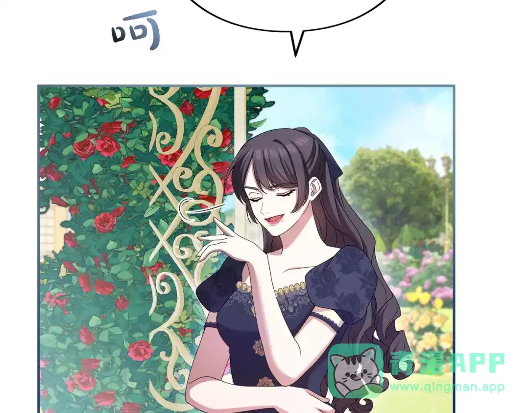 161.jpg