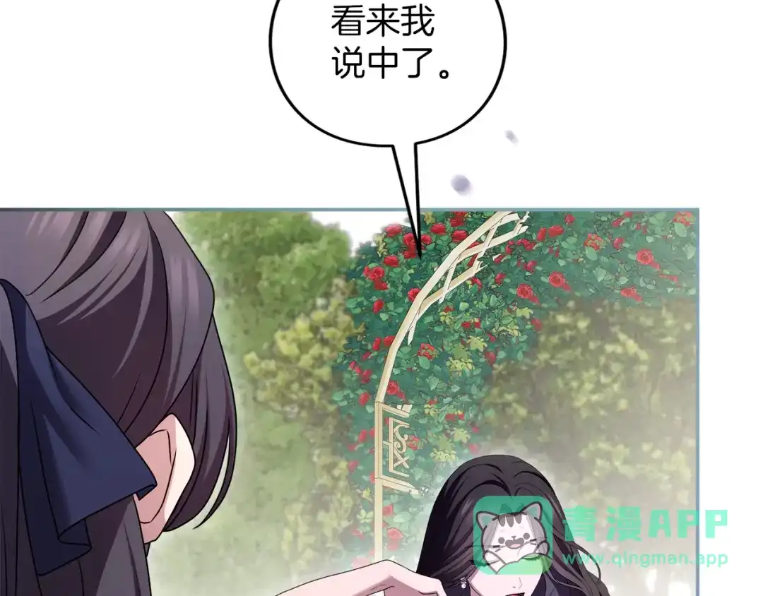 221.jpg