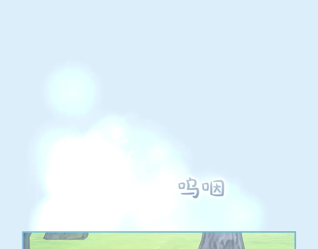223.jpg