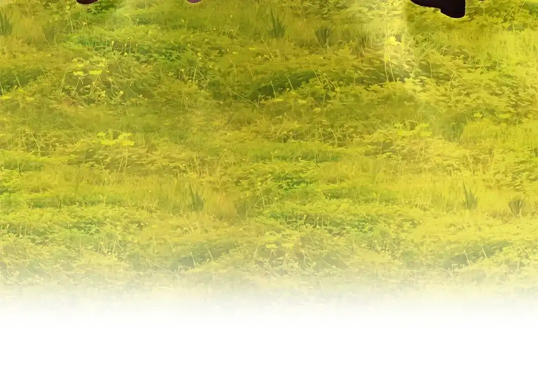 65.jpg