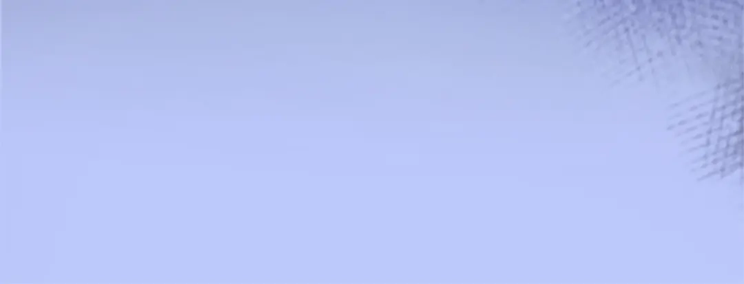 223.jpg